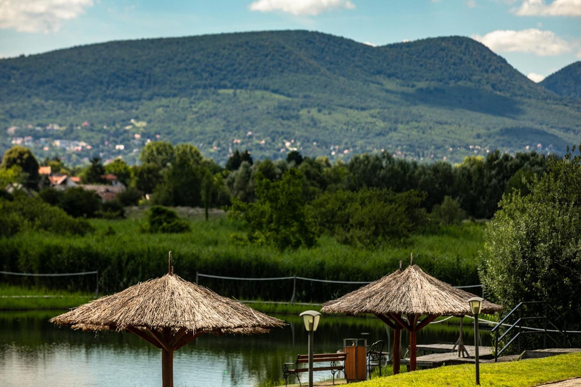 Hotel Golden Palace Göd Zewnętrze zdjęcie